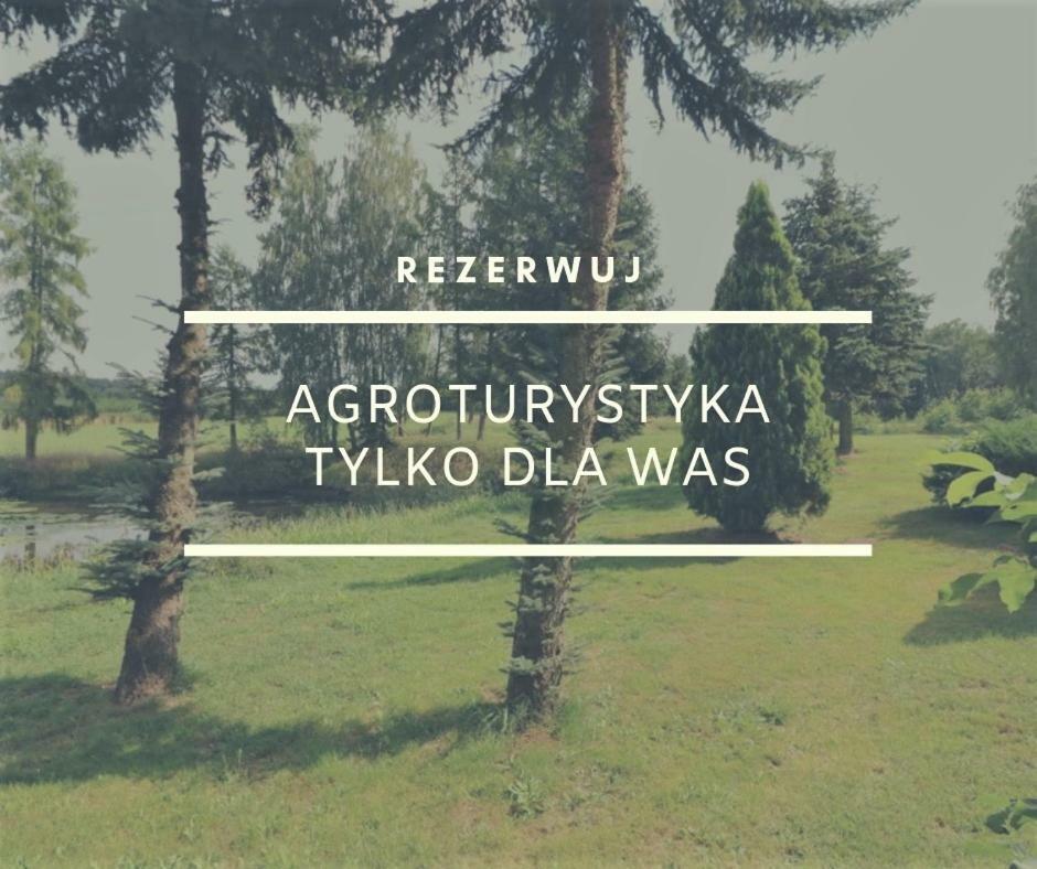 Dom Wakacyjny Z Ogromnym Ogrodem Вітошин Екстер'єр фото